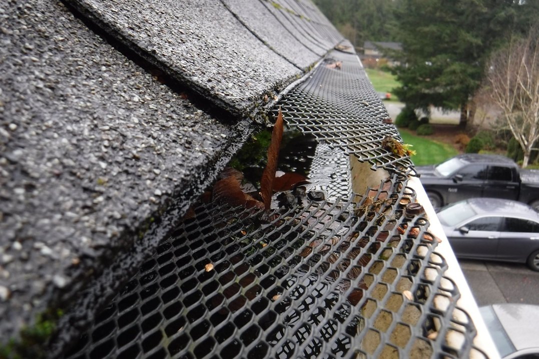 Picture of Are DIY Gutter Guards Worth It In Seattle?